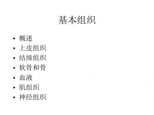 解剖学-基本组织 PPT课件
