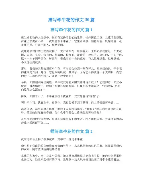 描写牵牛花的作文30篇