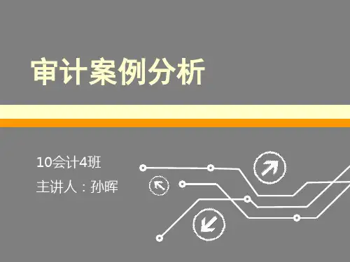 审计案例分析