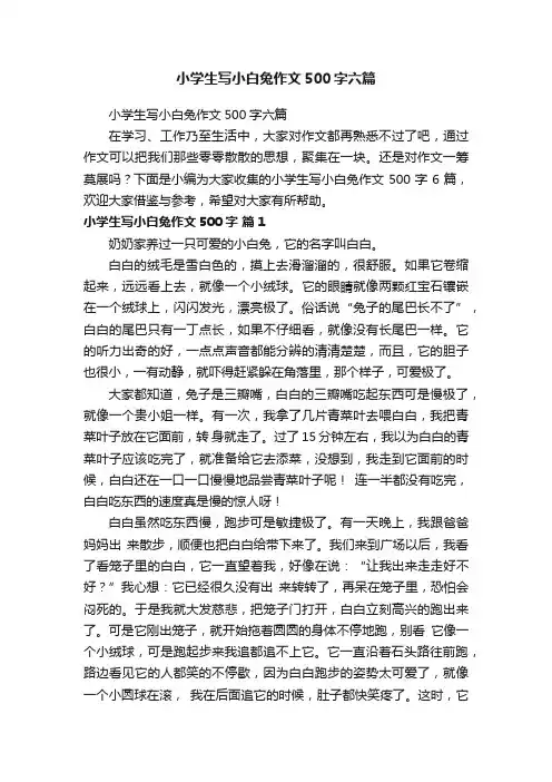 小学生写小白兔作文500字六篇