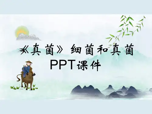 《真菌》细菌和真菌PPT课件