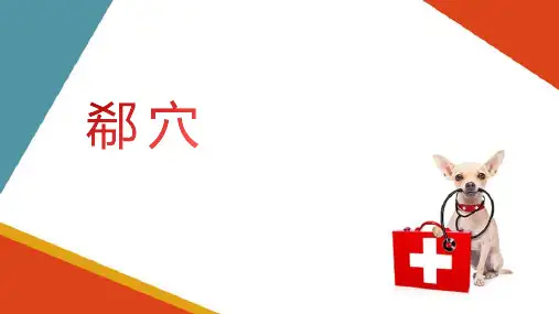 宠物特定穴介绍 郗穴