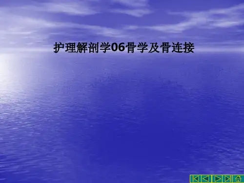 护理解剖学06骨学及骨连接