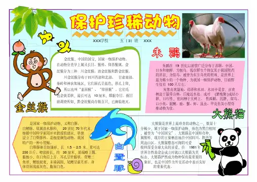 保护珍稀动物小报A4横排电子小报手抄报模板成品小报