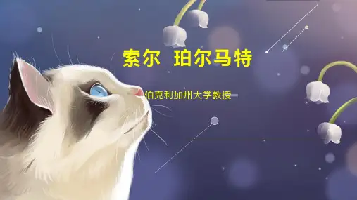 索尔 珀尔马特