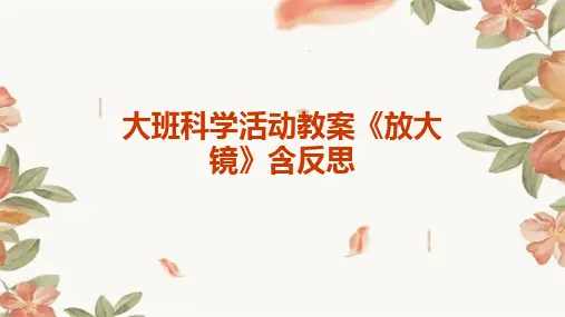 大班科学活动教案《放大镜》含反思