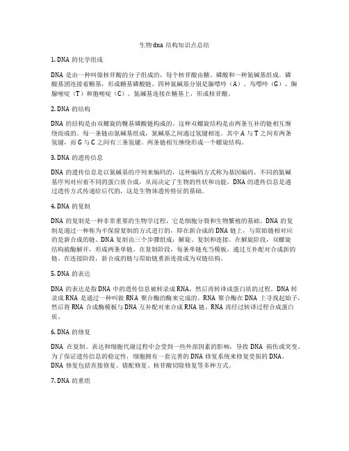 生物dna结构知识点总结