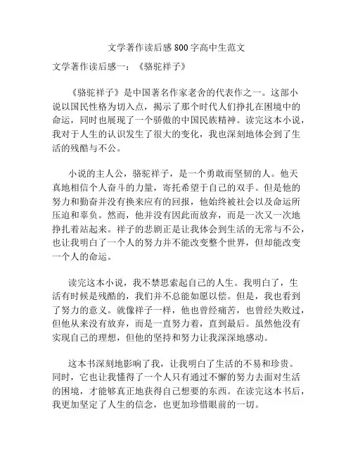 文学著作读后感800字高中生范文