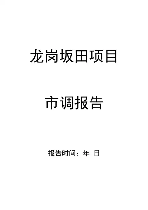 深圳龙岗坂田项目市场调研报告(50页)