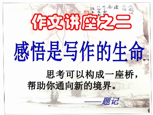 《感悟与作文》作文指导