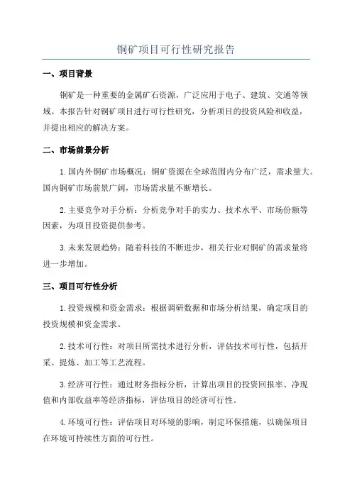 铜矿项目可行性研究报告