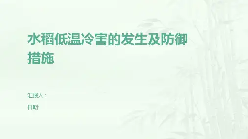 水稻低温冷害的发生及防御措施