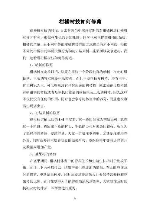 柑橘树技如何修剪