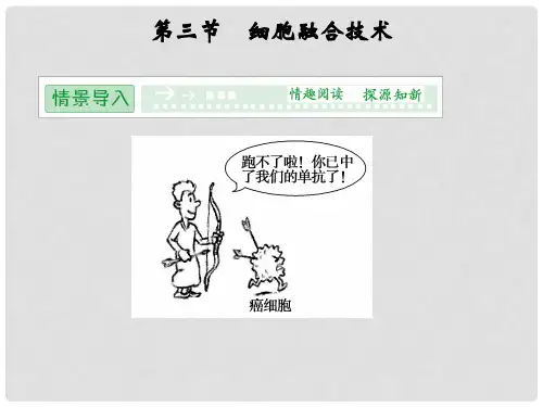 高中生物 第一单元 生物技术与生物工程 第二章 细胞工