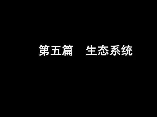 生态系统