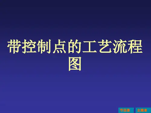 带控制点工艺流程图