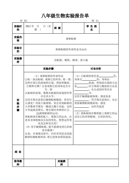 观察蚯蚓