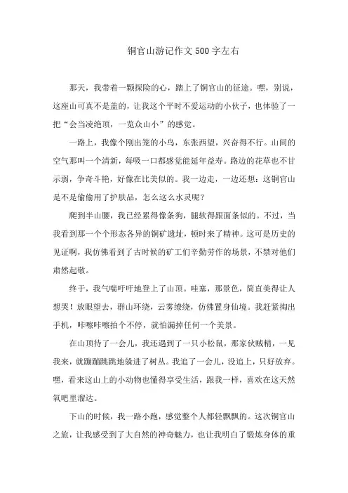 铜官山游记作文500字左右