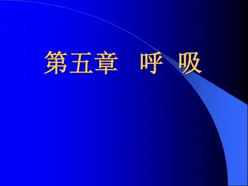 呼吸