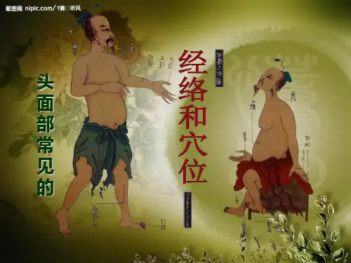 头面部穴位PPT课件
