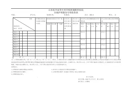 分级护理专项检查表