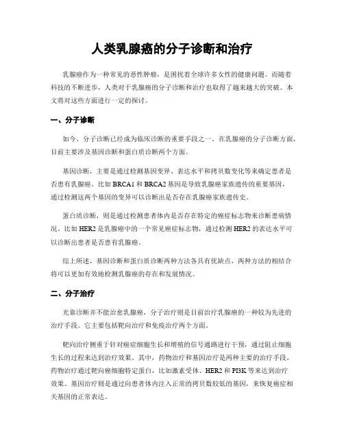 人类乳腺癌的分子诊断和治疗