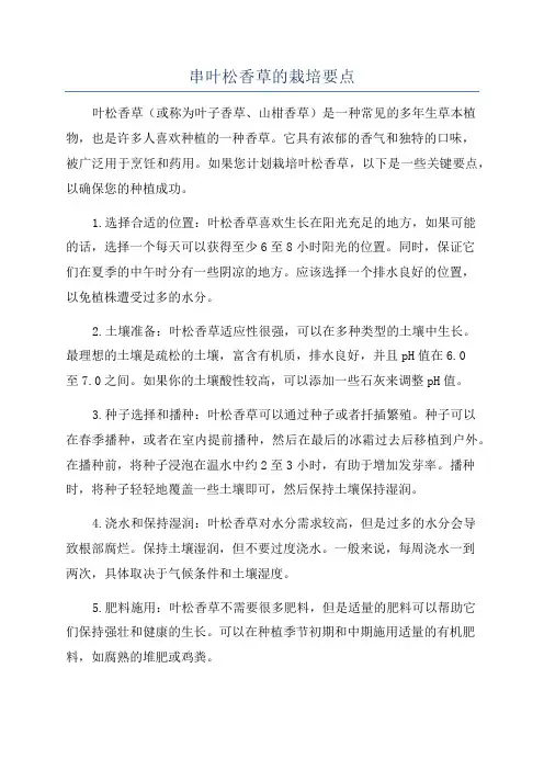 串叶松香草的栽培要点