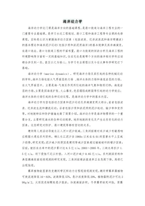 海岸动力学