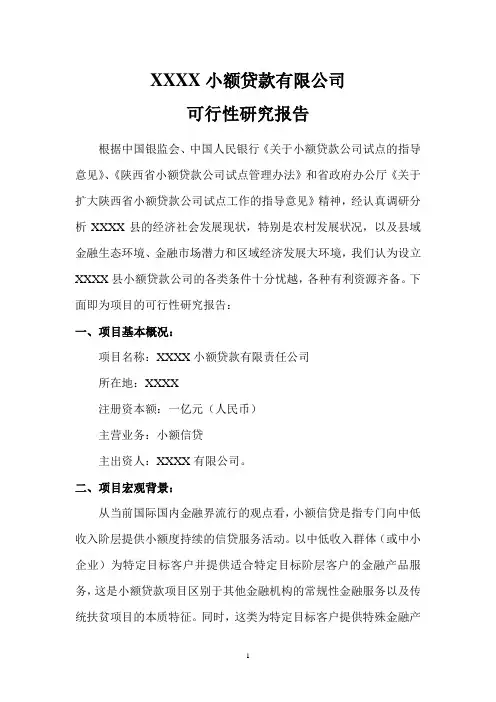 设立小额贷款公司可行性报告模版