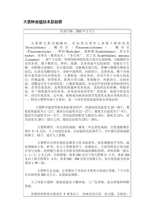 大菱鲆养殖技术及前景