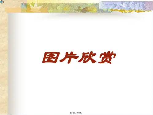 《生活中的轴对称》PPT课件