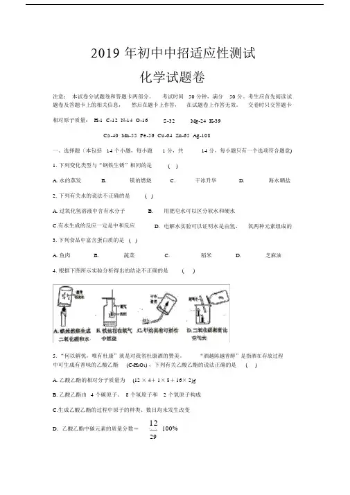 2019年郑州市初中中招适应性测试免费版.docx