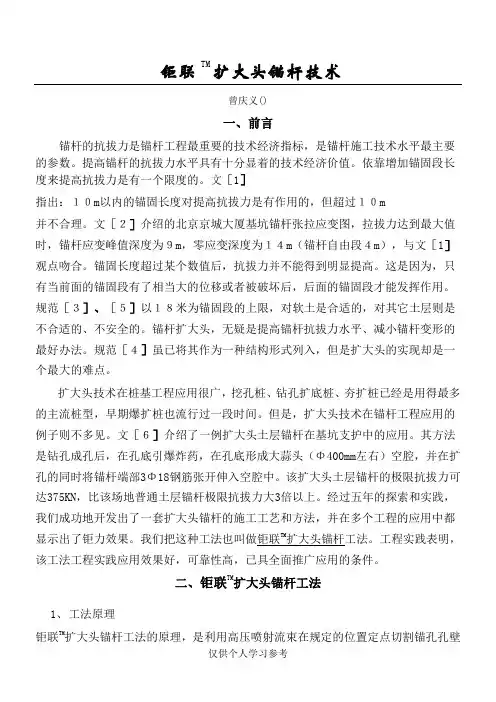 扩大头锚杆技术