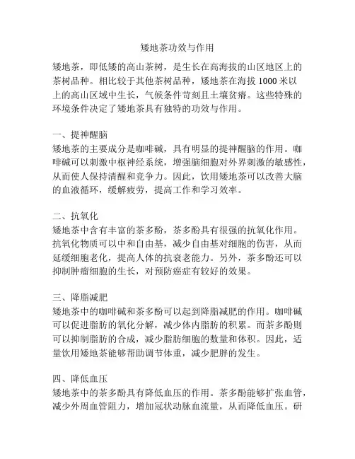 矮地茶功效与作用