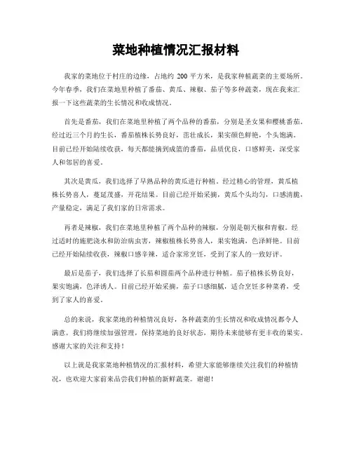 菜地种植情况汇报材料