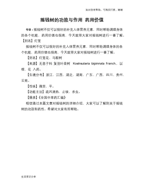 摇钱树的功效与作用 药用价值