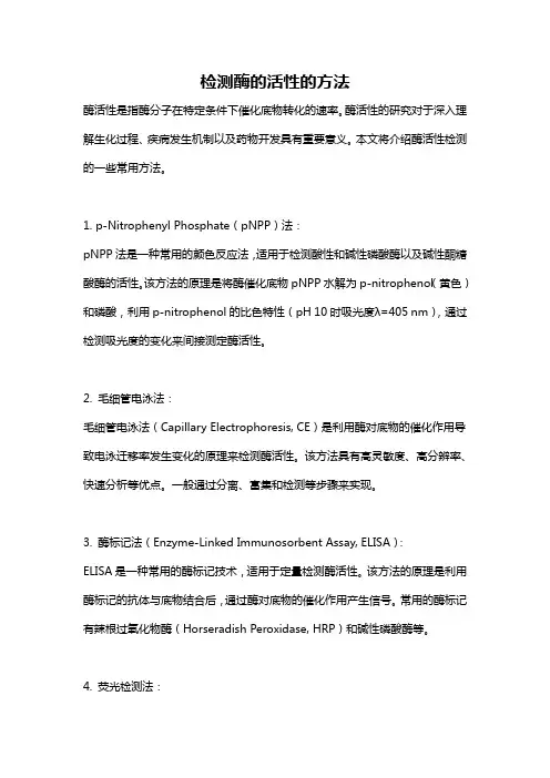 检测酶的活性的方法