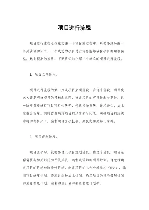 项目进行流程