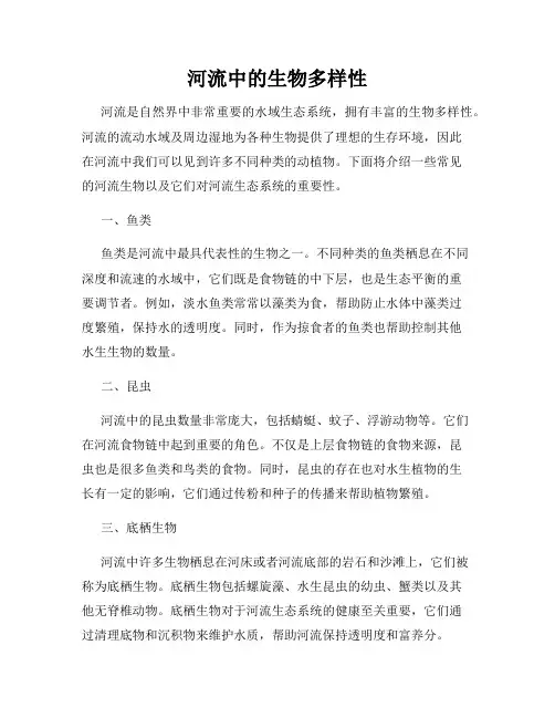 河流中的生物多样性