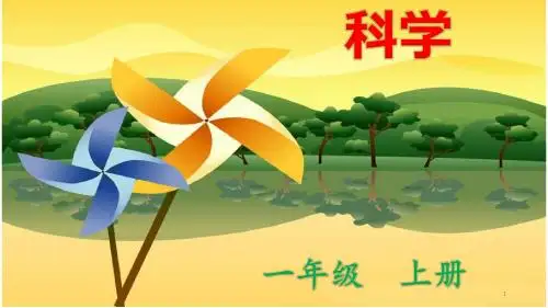 【精品】一年级上册科学课件-1.1《我们知道的植物》  ｜教科版       (共36张PPT)