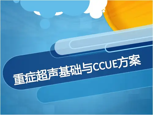 重症超声基础与CCUE方案