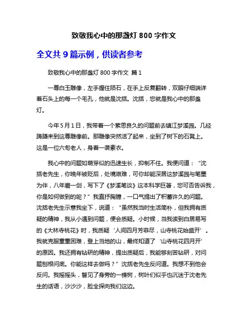 致敬我心中的那盏灯800字作文