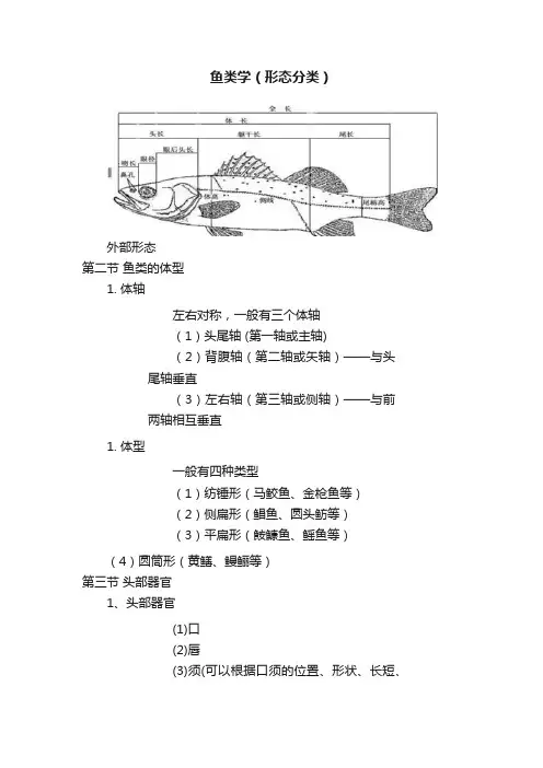 鱼类学（形态分类）