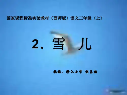 三年级语文雪儿(教学课件图文分享)