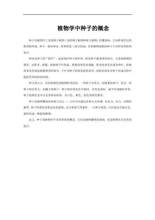 植物学中种子的概念