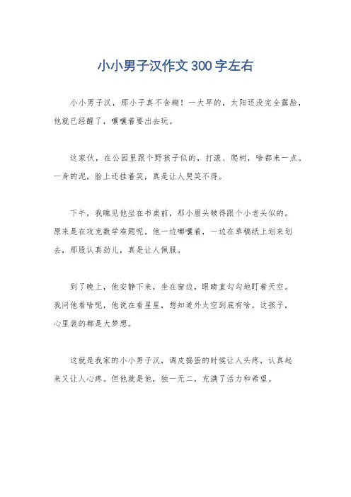 小小男子汉作文300字左右