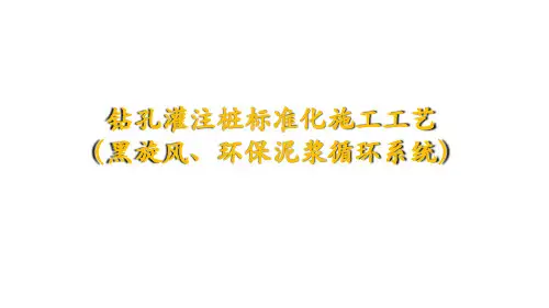 成套钻孔灌注桩标准化施工工艺(黑旋风、环保泥浆循环系统)
