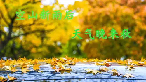 部编教材三年级上册语文《铺满金色巴掌的水泥道》ppt课堂课件