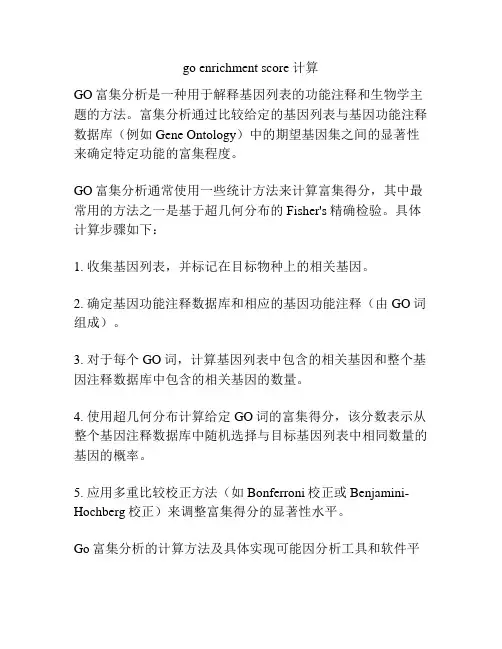 go enrichment score 计算