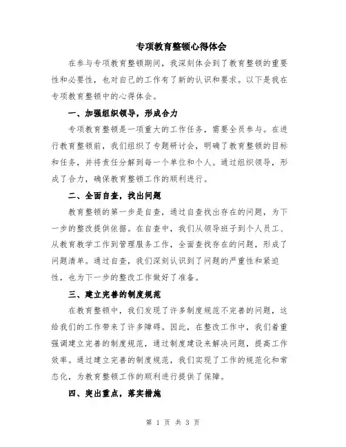 专项教育整顿心得体会